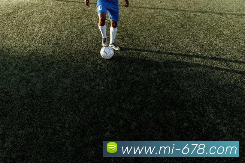 多媒体互动体验